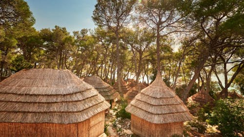 Pine Beach Pakoštane - All inclusive light oddih - Standard bungalov, Pakoštane, Dalmacija, Hrvaška - 179 EUR - 2x nočitev v Standard bungalovu za 2 osebi, All inclusive light