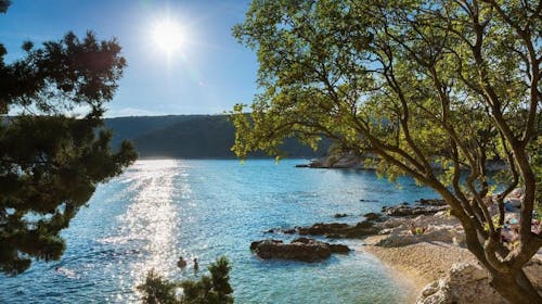 Sunny Rabac by Valamar - Družinski konec poletja v mestu Rabac, Rabac, Istra, Hrvaška - 741 EUR - 3x nočitev v Superior dvoposteljni sobi 2+1 za 3 osebe, Sunny polni penzion
