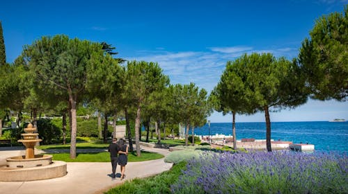 Maistra Island Hotel Istra - Wellness razvajanje v Rovinju, Rovinj, Istra, Hrvaška - 298 EUR - 2x nočitev v dvoposteljni sobi za 2 osebi (1 otrok do 11,99 let brezplačno), Polpenzion
