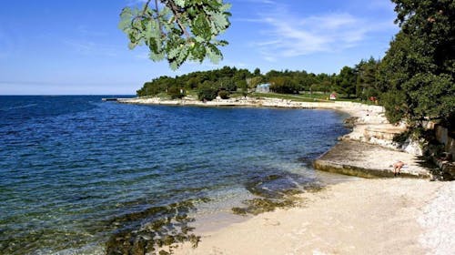 Hotel Istra Plava Laguna - Poletje v Poreču, Poreč, Istra, Hrvaška - 1219 EUR - 7x nočitev v Economy sobi z dodatnim ležiščem za 2 osebi (1. otrok do 11,99 let in 2. otrok do 4,99 let brezplačno), Polpenzion