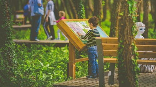 Boni Family Wellness Hotel - Družinski oddih na Madžarskem, Zalakaros, Madžarska - 476 EUR - 3x nočitev v dvoposteljni sobi s teraso ali z balkonom za 2 osebi (2 otroka do 11,99 let brezplačno), Polpenzion
