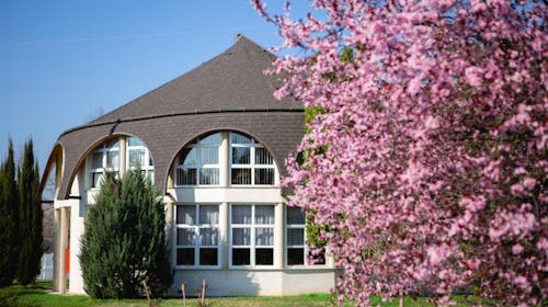 Hotel Ovit - Oddih na Madžarskem, Keszthely, Madžarska - 198 EUR - 2x nočitev v dvoposteljni Standard sobi s teraso ali balkonom kuhinjsko nišo za 2 osebi, Zajtrk