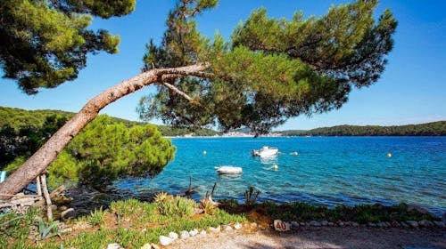 Camping Village Poljana - Mobilna hiška - Oddih na Malem Lošinju, Mali Lošinj, Hrvaška - 212 EUR - 4x nočitev v mobilni hiški Bellavista za 4 osebe (1 otrok do 11,99 let brezplačno), Uporaba elektrike, plina in vode