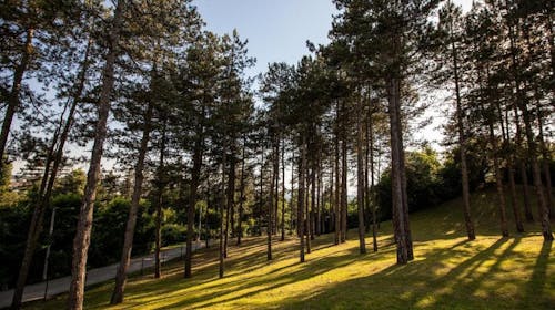 Motel Babino Brdo - Družinsko sproščanje ob čudovitem razgledu, Derventa, Bosna in Hercegovina - 63 EUR - 1x nočitev v dvoposteljni sobi za 3 osebe, Brezplačen Wi-Fi