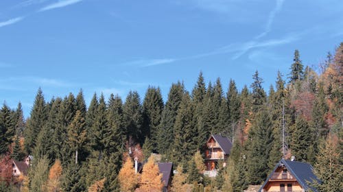 Pansion A&M Vlašić - Pomladno in poletno doživetje na Vlašiću,  Babanovac, Bosna in Hercegovina - 153 EUR - 2x nočitev v dvoposteljni sobi za 2 osebi, Zajtrk