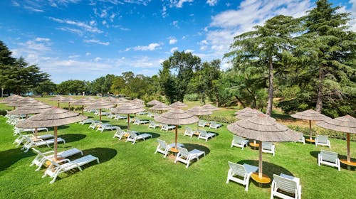 Hotel Mediteran Plava Laguna - Poletje v Poreču, Poreč, Istra, Hrvaška - 1298 EUR - 7x nočitev v dvoposteljni Economy sobi za 2 osebi, Polpenzion