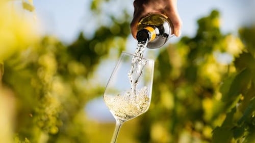 Hotel Rezidenca Ortus - Pomladni ali jesenski odklop z vinskim doživetjem na obali, Ankaran, Slovenija - 379 EUR - 2x nočitev v dvoposteljni sobi za 2 osebi, Polpenzion
