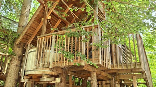 Ribno Alpine Glamping - Pomladni glamping na Bledu med tednom, Bled, Slovenija - 349 EUR - 2x nočitev v Alpine glamping hiški z leseno kadjo s toplo vodo za 2 osebi (2 otroka do 12. leta brezplačno), Pijača dobrodošlice