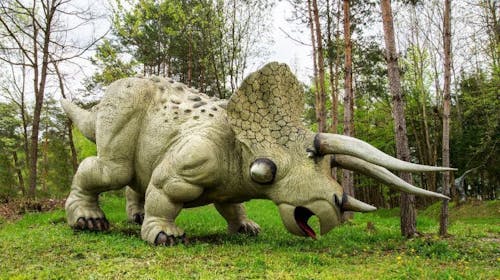 Dinopark Bled - Družinska vstopnica, Lesce, Slovenija - 22,40 EUR - 1x družinska vstopnica za Dinopark (za 2 odrasli osebi in maksimalno 3 otroke), Uporaba 6D Dinokina