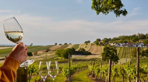 Althof Retz, Landgut & SPA - Adults only wellness oddih z vključeno degustacijo vin, Retz, Avstrija - 955 EUR - 3x nočitev v dvoposteljni sobi Classic Landgut za 2 osebi, Polpenzion (samopostrežni zajtrk in 5-hodna večerja)