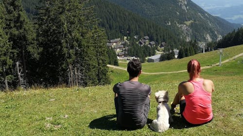 Wellness hotel Montis - Adrenalinska avantura s pridihom wellnessa v dvoje na Golteh, Mozirje, Slovenija - 319 EUR - 2x nočitev v dvoposteljni sobi za 2 osebi, Polpenzion (zajtrk in večerja)