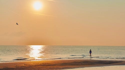 Hotel Diana - Oddih ob italijanski obali, Rimini, Italija - 855 EUR - 7x nočitev v dvoposteljni Standard sobi za 2 osebi, Polpenzion