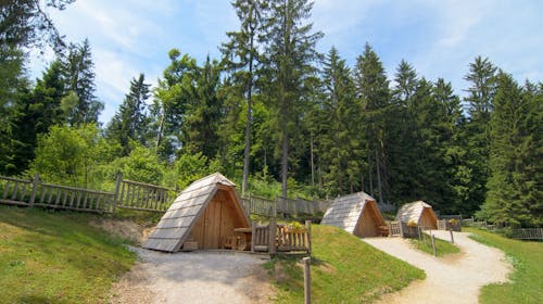 Glamping Lake Bloke - Glamping oddih ob Bloškem jezeru, Nova vas, Slovenija - 84 EUR - 1x nočitev v glamping hišici za 2 osebi, Zajtrk