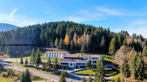 Hotel Forest - Oddih na Jahorini za tri osebe, Pale, Bosna in Hercegovina - 66,50 EUR - 1x nočitev v troposteljni Superior sobi za 3 osebe, Zajtrk