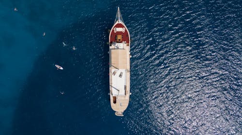 8-dnevno križarjenje po severnem Jadranu - Odhod iz Reke, Reka, Hrvaška - 499 EUR - 8-dnevno križarjenje z ladjo po ruti R1: Reka - otok Krk - otok Rab - Zadar - Nacionalni park Kornati - Zadarski arhipelag - otok Lošinj - otok Cres - Reka, 7x nočitev v dvoposteljni kabini (klima, kopalnica) na ladji kategorije Comfort Plus - Sveti Vid, Kazimir ali Planka za 1 osebo