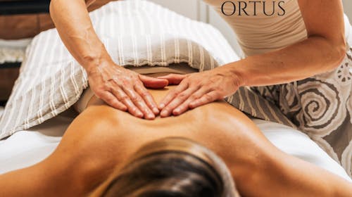 Hotel Rezidenca Ortus - Pomladni ali jesenski wellness paket z vključeno masažo, Ankaran, Slovenija - 349 EUR - 2x nočitev v dvoposteljni sobi za 2 osebi, Polpenzion
