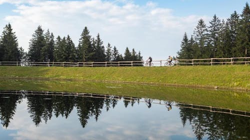 Forest Hotel Videc - Poletni wellness vikend oddih na Pohorju, Pohorje, Slovenija - 249 EUR - 2x nočitev v v dvoposteljni sobi z dodatnim ležiščem in prostornim balkonom za 2 osebi (1 otrok do 6. leta brezplačno), Polpenzion