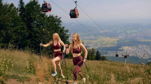 Forest Apartments Videc - Poletni wellness vikend oddih na Pohorju za 6 oseb, Pohorje, Slovenija - 279 EUR - 2x nočitev v enosobnem apartmaju z balkonom ali teraso za 6 oseb, Neomejeno uporabo WellNest notranjega bazena od 12. do 20. ure