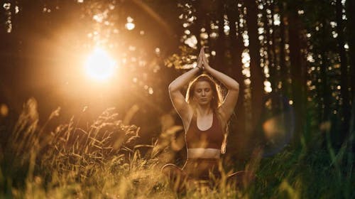 Forest Apartments Videc - Poletni wellness oddih na Pohorju med tednom za 6 oseb, Pohorje, Slovenija - 279 EUR - 2x nočitev v enosobnem apartmaju z balkonom ali teraso za 6 oseb, Neomejeno uporabo WellNest notranjega bazena od 12. do 20. ure