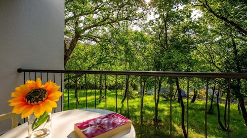 Holiday resort Kačjak - Poletje za pare, Kačjak, Hrvaška - 539 EUR - 5x nočitev v Standard dvoposteljni sobi z balkonom morska stran za 2 osebi, Polpenzion