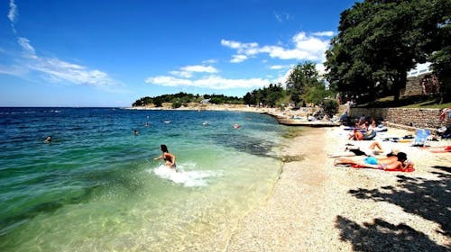 Hotel Gran Vista Plava Laguna - Poletje v Poreču, Poreč, Istra, Hrvaška - 875 EUR - 5x nočitev v dvoposteljni Economy sobi z dodatnim ležiščem za 2 osebi (1. otrok do 11,99 let in 2. otrok do 4,99 let brezplačno), Polpenzion in pijača ob večerji