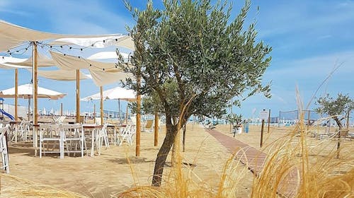 Alba Hotel - Oddih ob peščeni plaži, Marina di Ravenna, Italija - 230 EUR - 2x nočitev v Superior dvoposteljni sobi za 2 osebi, Samopostrežni zajtrk