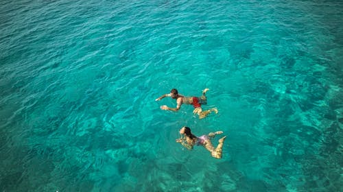 Aminess Vival Port9 Resort - Družinsko poletje na Korčuli, Korčula, Dalmacija, Hrvaška - 783 EUR - 4x nočitev v dvoposteljni Superior sobi z balkonom stran park za 2 osebi (1 otrok do 9,99 let brezplačno), Polpenzion