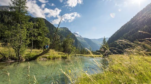 Ferienhotel Alber - Oddih v objemu gora, Mallnitz, Avstrija - 945 EUR - 6x nočitev v dvoposteljni sobi za 2 osebi, Polpenzion (samopostrežni zajtrk in 4-hodna večerja s solatnim bifejem)