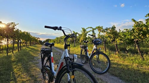 Hotel Rezidenca Ortus - V dvoje z električnimi kolesi po slovenski obali, Ankaran, Slovenija - 319 EUR - 2x nočitev v dvoposteljni sobi za 2 osebi, Polpenzion