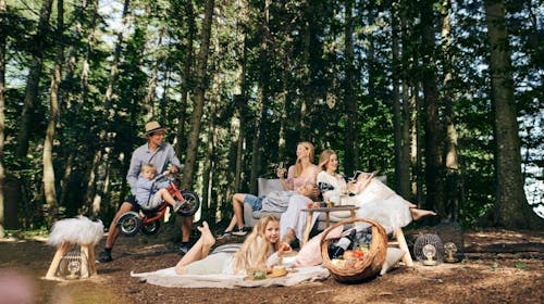 Forest Hotel Videc - Pomlad ali krompirjeve počitnice na Pohorju, Pohorje, Slovenija - 239 EUR - 2x nočitev v v dvoposteljni sobi z dodatnim ležiščem in prostornim balkonom za 2 osebi (1 otrok do 6. leta brezplačno), Polpenzion