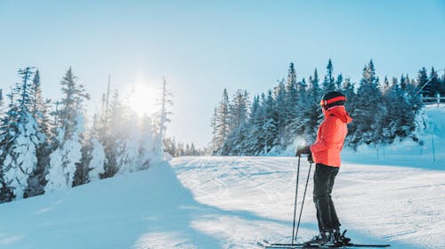 Trinker apartmaji - Ladies Ski Opening v Zell am See-ju, Zell am See, Avstrija - 350 EUR - 3x nočitev v apartmaju za 1 osebo, Pijača dobrodošlice