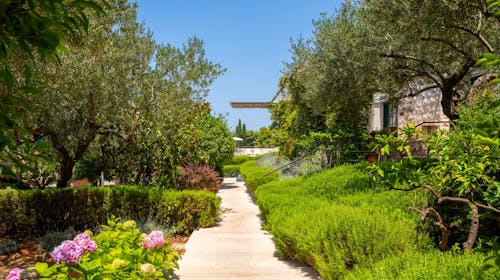 Aminess Vival Velaris Resort - Družinski oddih na Braču, Supetar, otok Brač, Dalmacija, Hrvaška - 249 EUR - 2x nočitev v dvoposteljni Superior sobi z balkonom (pogled park) za 2 osebi (1 otrok do 9,99 let brezplačno), Polpenzion