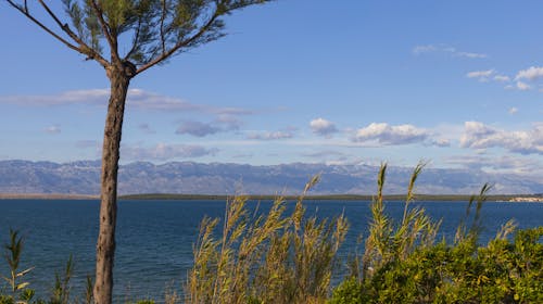 Auramar Pansion - Družinsko poletje v Dalmaciji, Sabunike, Privlaka, Dalmacija, Hrvaška - 1479 EUR - 7x nočitev v Family sobi za 2 osebi (2 otroka do 14,99 let in 1 otrok do 5 let brezplačno), Polpenzion