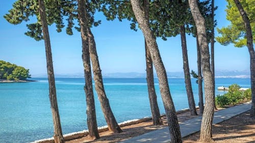 Aminess Vival Velaris Resort - Družinsko poletje na Braču, Supetar, otok Brač, Dalmacija, Hrvaška - 1176 EUR - 4x nočitev v dvoposteljni Superior sobi z balkonom (pogled park) za 2 osebi (1 otrok do 9,99 let brezplačno), Polpenzion