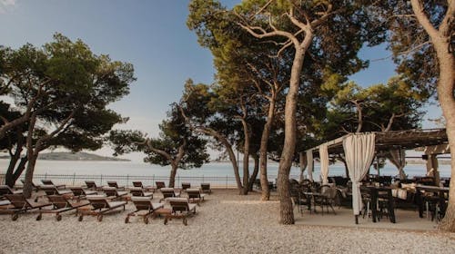 Villas Arausana & Antonina - Oddih v Vodicah ob morju, Vodice, Dalmacija, Hrvaška - 207 EUR - 2x nočitev v dvoposteljni sobi z balkonom (morska stran) za 2 osebi (1 otrok do 11,99 let in 2. otrok do 2,99 let brezplačno), Polpenzion