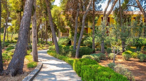 Aminess Vival Casa Velaris - Poletje na Braču za družine, Supetar, otok Brač, Dalmacija, Hrvaška - 640 EUR - 4x nočitev v dvoposteljni Comfort sobi z balkonom za 2 osebi (1 otrok do 9,99 let brezplačno), Polpenzion
