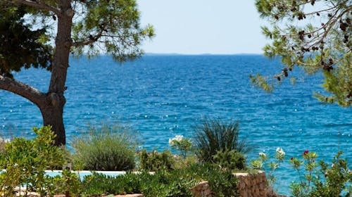 Terra Park Phalaris - Družinsko poletje v popolnem kampu - Pinus Holiday Home, Novalja, Pag, Dalmacija, Hrvaška - 2141 EUR - 7x nočitev v Pinus Holiday Home za do 5 oseb (4 odrasle osebe in 1 otrok do 11,99 let), Posteljnina in brisače