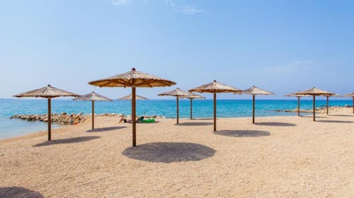 Terra Park Phalaris - Družinsko poletje v popolnem kampu - Pinus Holiday Home z bazenom, Novalja, Pag, Dalmacija, Hrvaška - 2176 EUR - 5x nočitev v Pinus Holiday Home z zasebnim bazenom za do 5 oseb (4 odrasle osebe in 1 otrok do 11,99 let), Uporaba zasebnega ogrevanega bazena