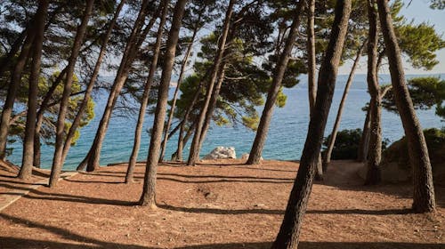 Sagitta Holiday Resort - Družinsko poletje v Omišu - Standard bungalov, Omiš, Dalmacija, Hrvaška - 1440 EUR - 5x nočitev v Standard bungalovu (2+1) za 2 osebi (1 otrok do 13,99 let in 1 otrok do 7,99 let brezplačno), All inclusive