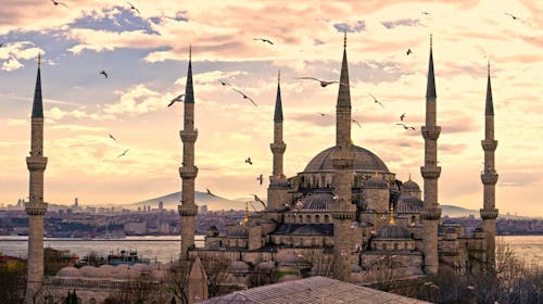 V Istanbul iz Ljubljane, Istanbul, Turčija - 999 EUR - 5x nočitev v hotelu za 2 odrasli osebi, Zajtrk