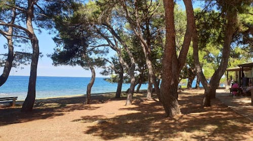 Youth Hostel Pinesta - Last minute poletje v Novigradu, Novigrad, Istra, Hrvaška - 147 EUR - 2x nočitev v dvoposteljni twin sobi (z enojnimi posteljami) za 2 osebi, Zajtrk
