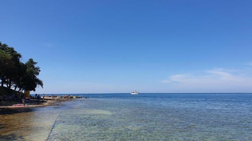 Youth Hostel Pinesta - Last minute poletje v Novigradu, Novigrad, Istra, Hrvaška - 212 EUR - 3x nočitev v dvoposteljni twin sobi (z enojnimi posteljami) za 2 osebi, Zajtrk