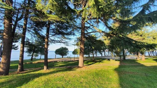 Youth Hostel Pinesta - Poletje v Novigradu, Novigrad, Istra, Hrvaška - 214 EUR - 2x nočitev v dvoposteljni twin sobi (z enojnimi posteljami) za 2 osebi, Zajtrk