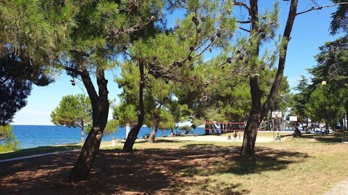 Youth Hostel Pinesta - Poletje v Novigradu, Novigrad, Istra, Hrvaška - 313 EUR - 3x nočitev v dvoposteljni twin sobi (z enojnimi posteljami) za 2 osebi, Zajtrk