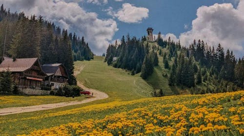 Blanca Resort & Spa - Poletni wellness oddih na Vlašiću, Vlašić, Bosna in Hercegovina - 76 EUR - 1x nočitev v Standard sobi za 2 osebi (1 otrok do 6. leta brezplačno), Zajtrk