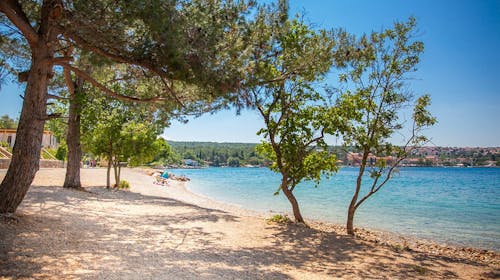 Magal Maradiso Hotel by Aminess - Ultra last minute poletje v Njivicah na Krku, Njivice, Krk, Hrvaška - 540 EUR - 3x nočitev v Comfort dvoposteljni sobi v annex zgradbi za 2 osebi (1 otrok do 9,99 let brezplačno), Polpenzion