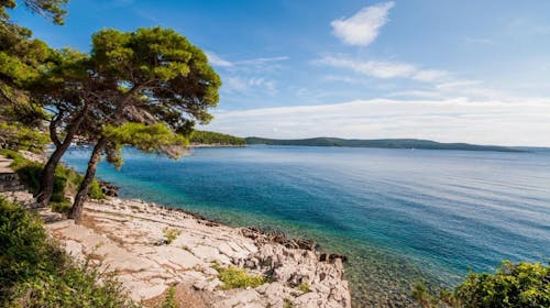 Hotel Lavanda - Poletni oddih na Dugem otoku, Božava, Dalmacija, Hrvaška - 1351 EUR - 7x nočitev v Standard sobi s pogledom na morje in z balkonom za 2 osebi, Polpenzion (samopostrežni zajtrk in večerja)