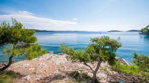Hotel Lavanda - Družinski oddih na Dugem otoku, Božava, Dalmacija, Hrvaška - 1688 EUR - 7x nočitev v Standard sobi s pogledom na morje in z balkonom za 2 osebi (2 otroka do 11,99 let brezplačno), Polpenzion (samopostrežni zajtrk in večerja)