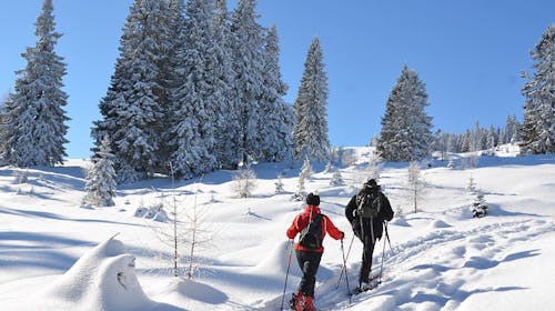 Landidyll Hotel Nudelbacher - Zimski oddih na Koroškem, Feldkirchen in Kärnten, Avstrija - 759 EUR - 5x nočitev v dvoposteljni sobi z balkonom za 2 osebi, Polpenzion