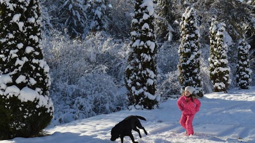 Landidyll Hotel Nudelbacher - Zimski oddih na Koroškem, Feldkirchen in Kärnten, Avstrija - 389 EUR - 3x nočitev v dvoposteljni sobi z balkonom za 2 osebi, Polpenzion